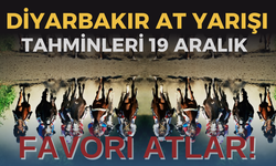 Diyarbakır at yarışı tahminleri 19 Aralık 2023 | Diyarbakır at yarışları | Diyarbakır Altılı ganyan | Diyarbakır altılı