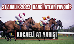 Kocaeli at yarışı tahminleri | Kocaeli at yarışı 21 Aralık 2023 | Kocaeli at yarışı tahminleri | TJK TV İZLE