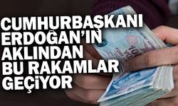 Cumhurbaşkanı Erdoğan Asgari ücret için bu rakamları düşünüyor!