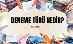 Edebiyat türü olan deneme nedir?  Deneme nasıl yazılır? Deneme Örnekleri