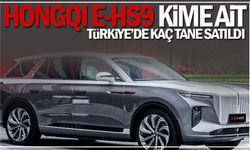  HONGQI E-HS9 Kime ait? |  HONGQI E-HS9 Türkiye'de kaç tane satıldı