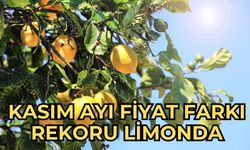 Kasım ayı fiyat farkı rekoru limonda