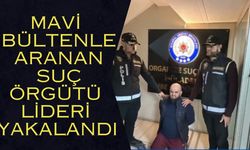İnterpol'ün mavi bültenle aradığı suçlu İstanbul'da yakalandı