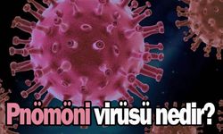 Pnömöni virüsü nedir? | Pnömöni virüsü belirtileri