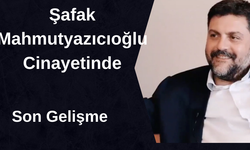 Beşiktaş Eski Yöneticisi Şafak Mahmutyazıcıoğlu Cinayeti: Savcıdan Şok Talep
