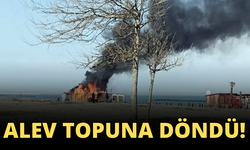 Karasu'da korkutan yangın! Alev topuna döndü