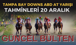 Tampa Bay Downs ABD at yarışı tahminleri 20 Aralık 2023 | Tampa Bay Downs ABD bülten | Tampa Bay Downs ABD tahminleri