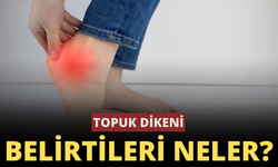 Topuk Dikeni nedir? Topuk Dikeni  nasıl geçer? Topuk Dikeni  kimlerde görülür? Topuk Dikeni  ilacı var mı?