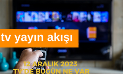 12 Aralık 2023 TV Yayın Akışı, Bu akşam TV'de ne var?  | 12 ARALIK ATV, KANAL D, FOX, STAR, SHOW, TRT 1, TV8