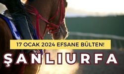 Şanlıurfa at yarışı tahmini 17 Ocak 2024 | Şanlıurfa altılı ganyan | TJK TV İZLE | Şanlıurfa ganyan | Şanlıurfa at yarış