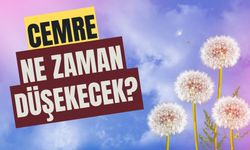 İlk cemre ne zaman düşecek? 2024 ilk cemre düştü mü?