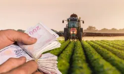 Çiftçiye müjde! 952 milyon 462 bin TL'lik ödemeler hesaplara yatırılıyor