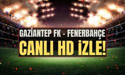 Gaziantep FK - Fenerbahçe maçı ne zaman, saat kaçta, hangi kanalda? Gaziantep FK vs Fenerbahçe canlı izle!