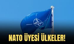 NATO NEDİR? HANGİ ÜLKELER NATO ÜYESİ?  İSVEÇ NATO'YA ÜYE OLDU MU?