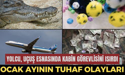 Ocak ayının tuhaf olayları!