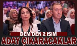 DEM o iller için aday çıkartacak