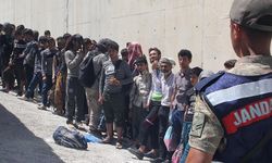 Edirne'de 29 düzensiz göçmen yakalandı