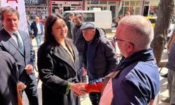 Edirne'de belediye başkan adaylarının çalışmaları sürüyor