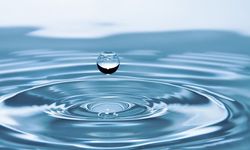 Emanet, Dünya Su Gününü Kutladı!