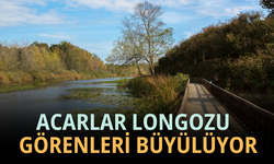 Türkiye'nin En Güzel Longozlarından Acarlar Longozu