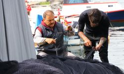 Balıkçılar av yasağından önce avlanmayı bıraktı