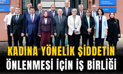 Kadına yönelik şiddetin önlenmesi için iş birliği