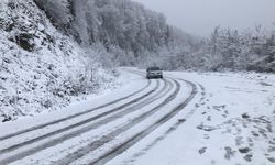 Sakarya'da yüksek kesimlere kar yağdı!