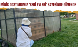 Minik dostlarımız 'Kedi Evleri' sayesinde güvende