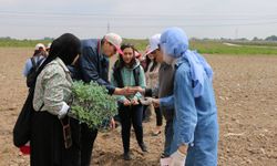 SGM’nin özel öğrencileri fideleri toprakla buluşturdu