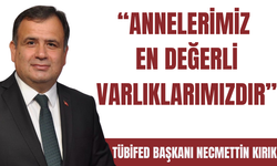 TÜBİFED Başkanı Necmettin Kırık’tan “Anneler Günü” Mesajı