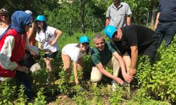 Özel çocuklar sebze ve aromatik bitki yetiştiriyor