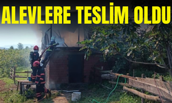 Ahır ve samanlık alevlere teslim oldu
