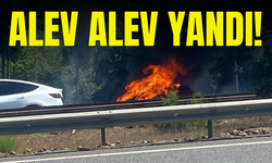 Otoyolda alev alev yandı!