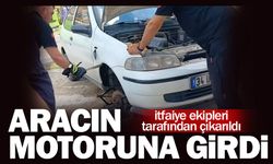 Aracın motoruna girdi!