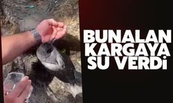 Sıcaktan bunalan kargaya su verdi