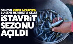 İstavrit bereketiyle geldi