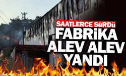 Fabrika saatlerce cayır cayır yandı