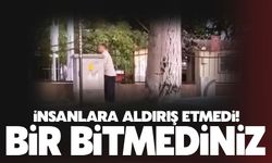 İnsanlara aldırış etmedi!