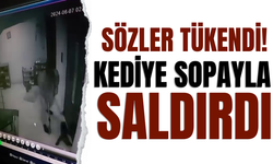 Kediye apartmanda sopayla saldırdı