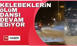 Kelebeklerin ölüm dansı devam ediyor