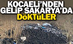 Kocaeli’nden gelerek Sakarya’da döktüler