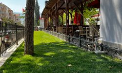 Pamukova Belediyesi Park ve Bahçeler Birimi Titizlikle Çalışmalarına Devam Ediyor