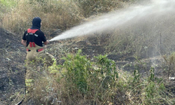 Evlere sıçramasın diye alevlere hortumlarla müdahale ettiler