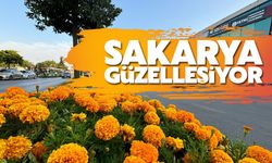 Sakarya'nın sokakları güzelleşiyor