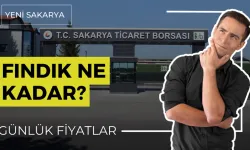 12 Mayıs 2025 Sakarya Ticaret Borsası günlük fiyatları! Fındık kaç TL?