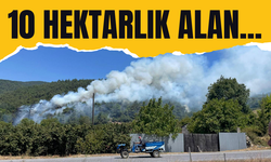 10 hektarlık ormanlık alan zarar gördü