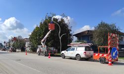 SEDAŞ’tan Düzce’de 267 milyon TL yatırım çalışması