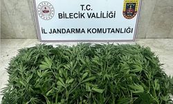 Uyuşturucu operasyonu: 2 şüpheli tutuklandı