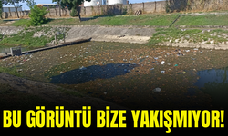 Bu görüntü bize yakışmıyor! Kokudan yürünmüyor...