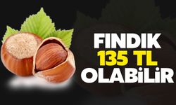 'Fındık 135 TL olabilir'